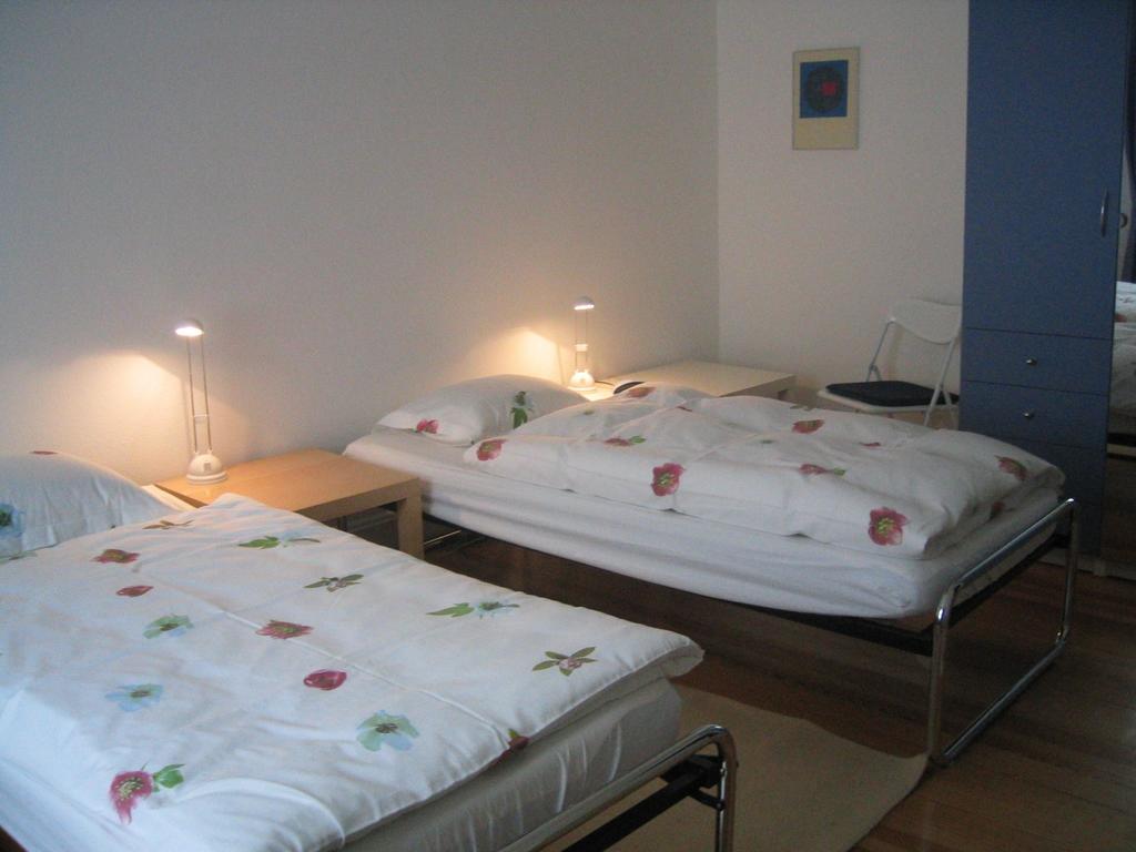 בזל B&B Schlettstadterstrasse מראה חיצוני תמונה